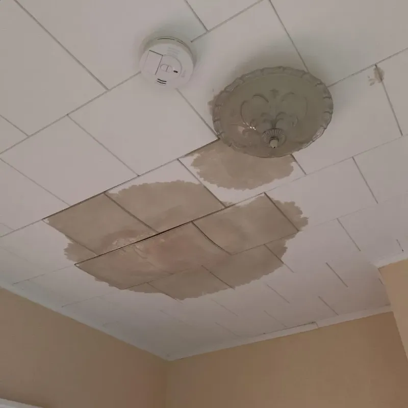 Ceiling Water Damage Repair in Justice, OK