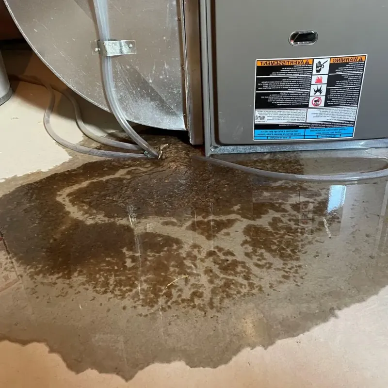 Pipe Burst and Leak Restoration in Justice, OK