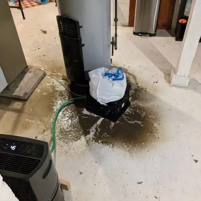 Sewage Backup Cleanup Service in Justice, OK